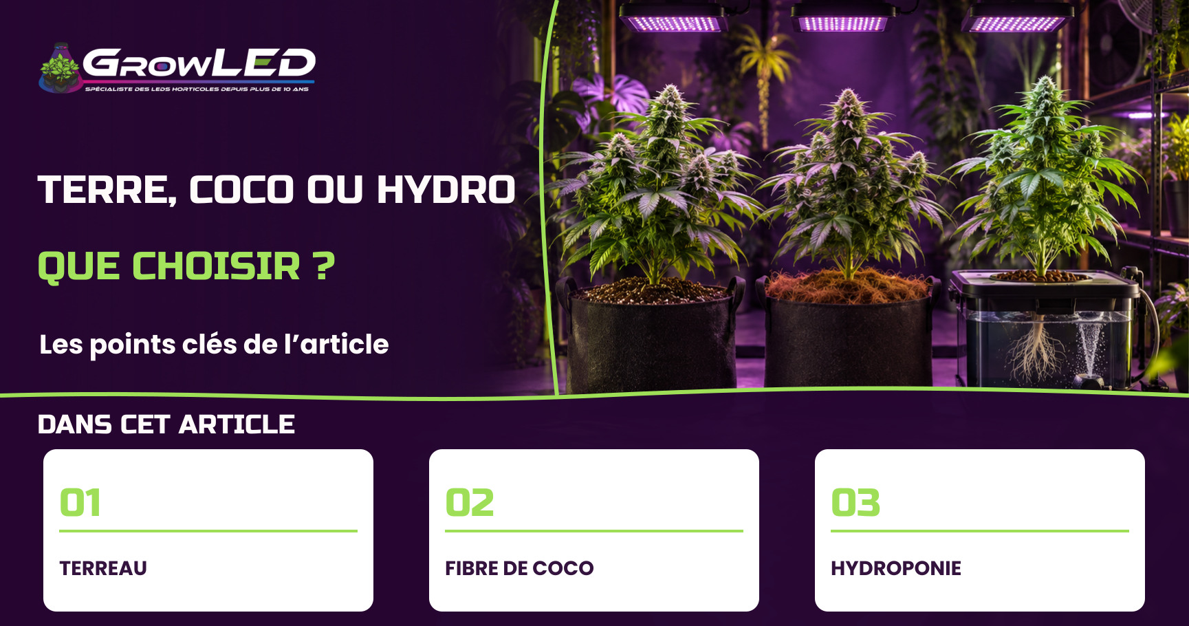 Terre, coco ou hydro : choisir sa méthode de culture indoor Terre, coco ou hydro : choisir sa méthode de culture indoor