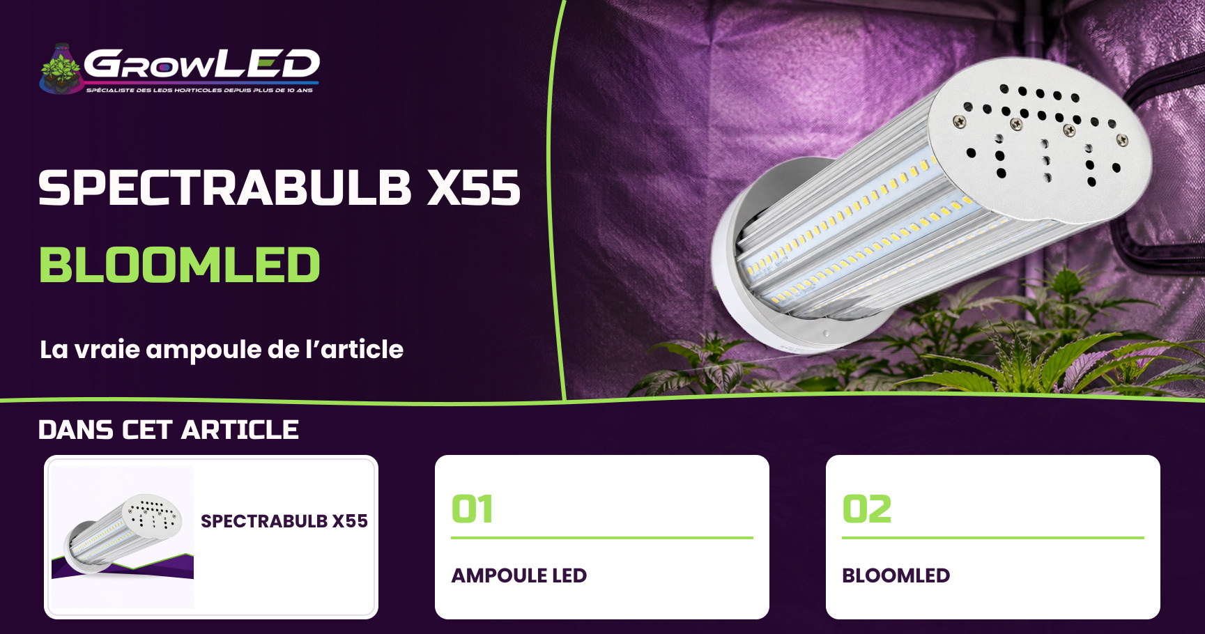 SpectraBULB X55 - L'ampoule Horticole LED de chez BloomLED SpectraBULB X55 - L'ampoule Horticole LED de chez BloomLED