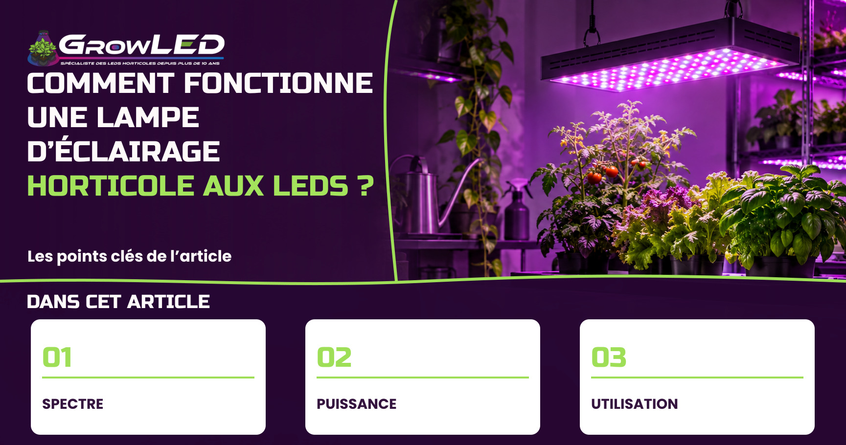 Comment fonctionne une lampe d’éclairage horticole aux LEDs ? Comment fonctionne une lampe d’éclairage horticole aux LEDs ?