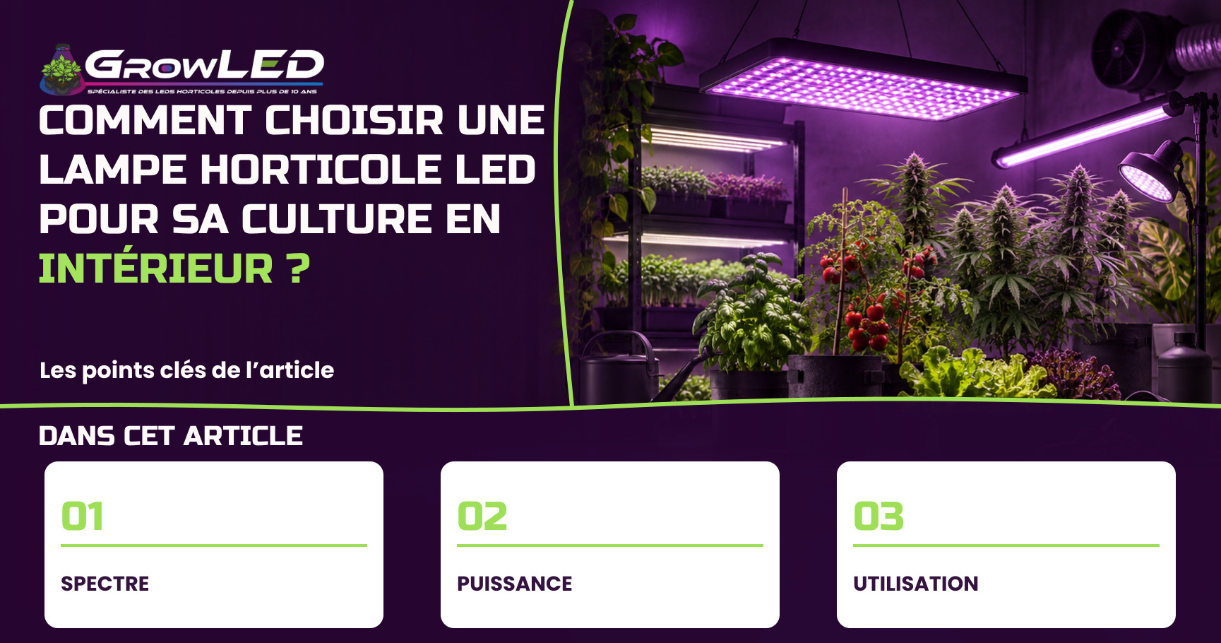 Comment choisir une lampe horticole LED pour sa culture en intérieur ? Comment choisir une lampe horticole LED pour sa culture en intérieur ?