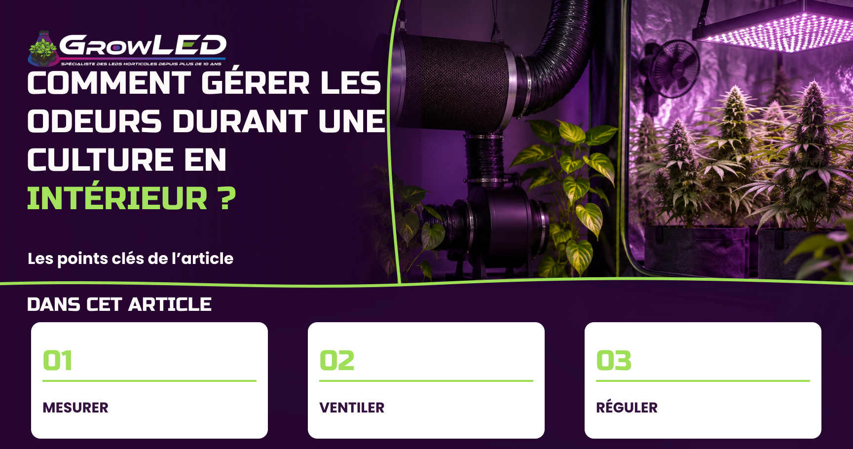 Comment gérer les odeurs durant une culture en intérieur ? Comment gérer les odeurs durant une culture en intérieur ?