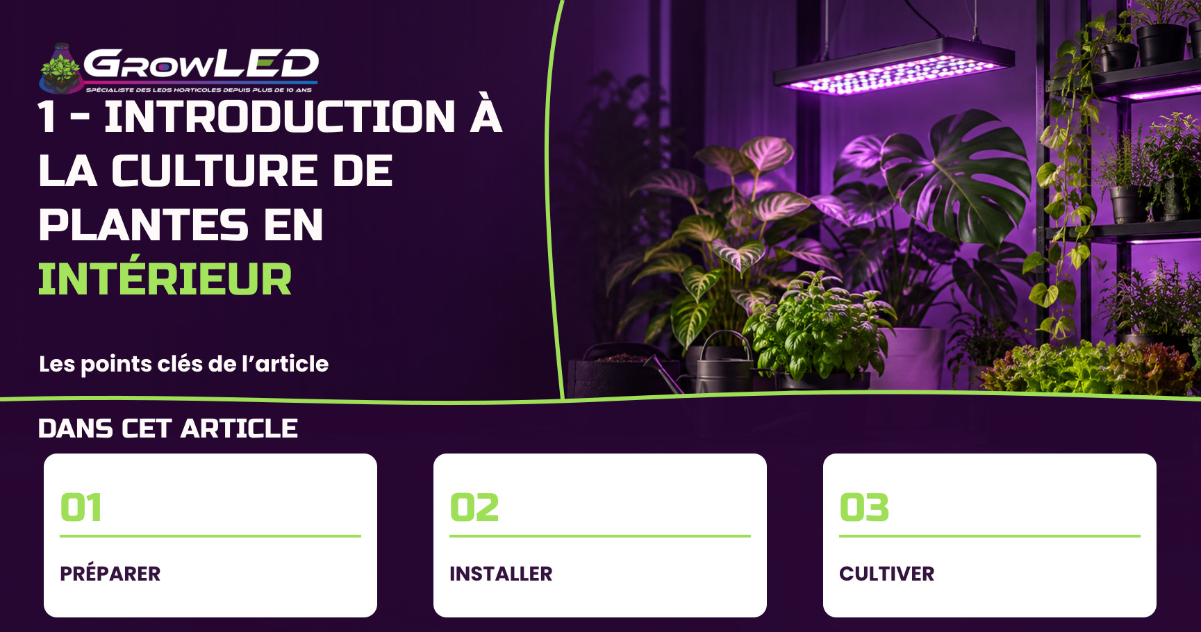 1 - Introduction à la culture de plantes en intérieur