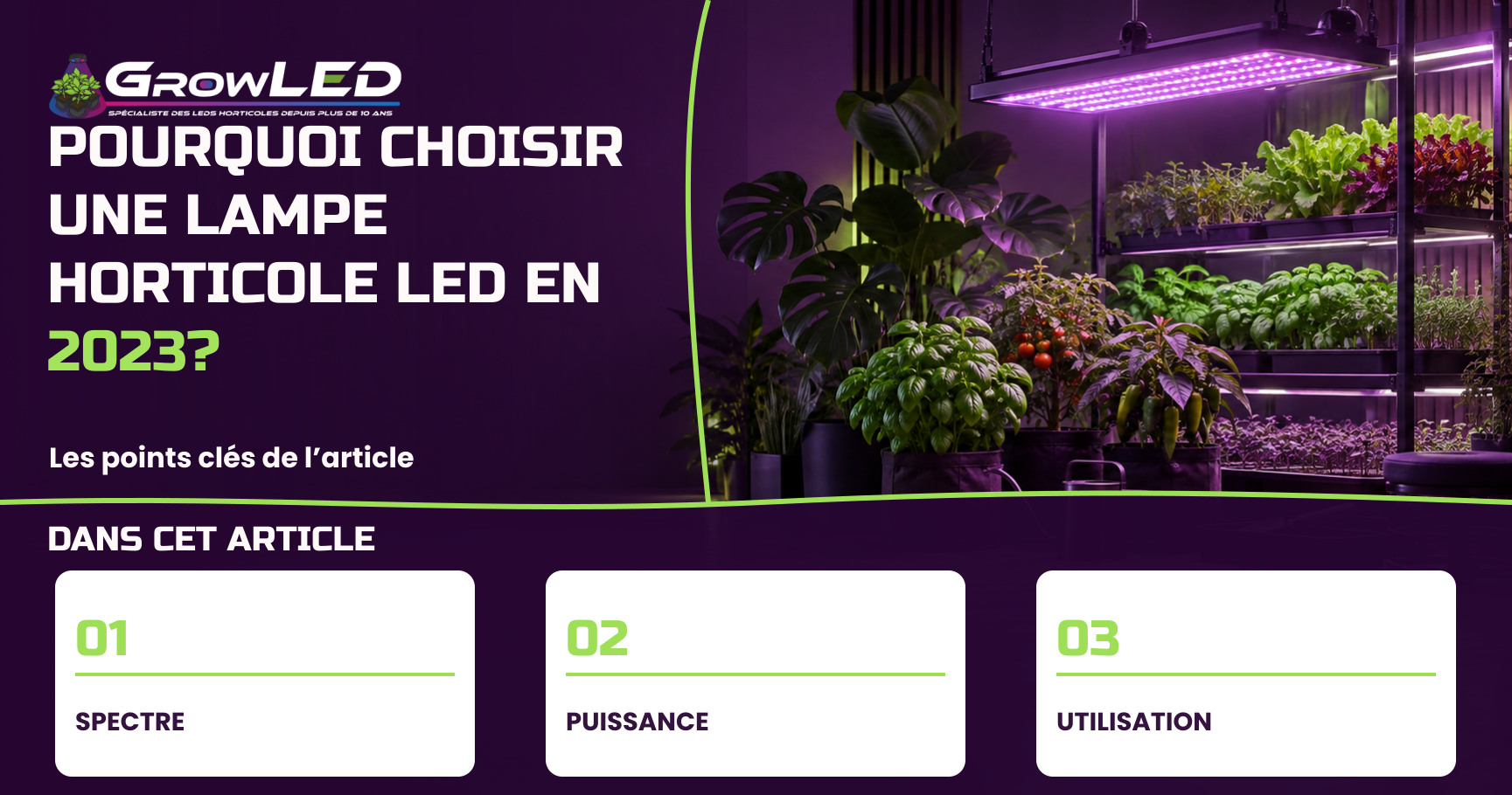 Pourquoi choisir une lampe horticole LED en 2023 ?