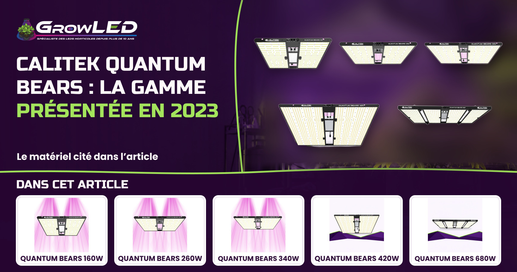Découvrez les Quantum Bears de la marque Calitek au meilleur prix sur GrowLED