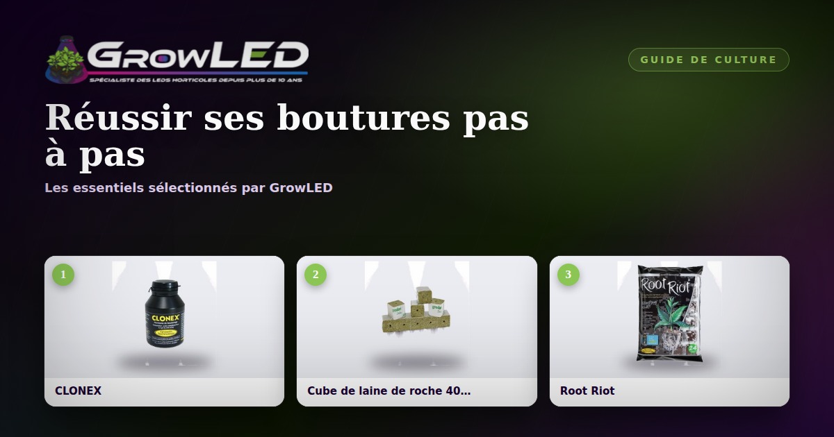 Réussir ses boutures : la méthode pas à pas pour des clones vigoureux