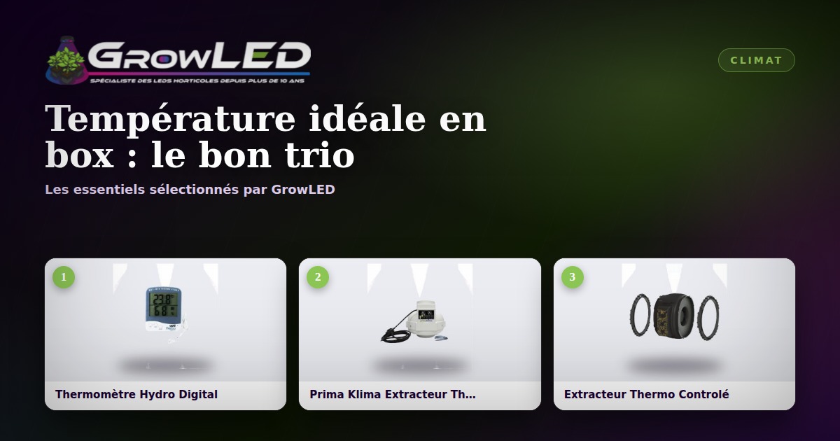 Température idéale en box : le trio chaleur, lumière et ventilation