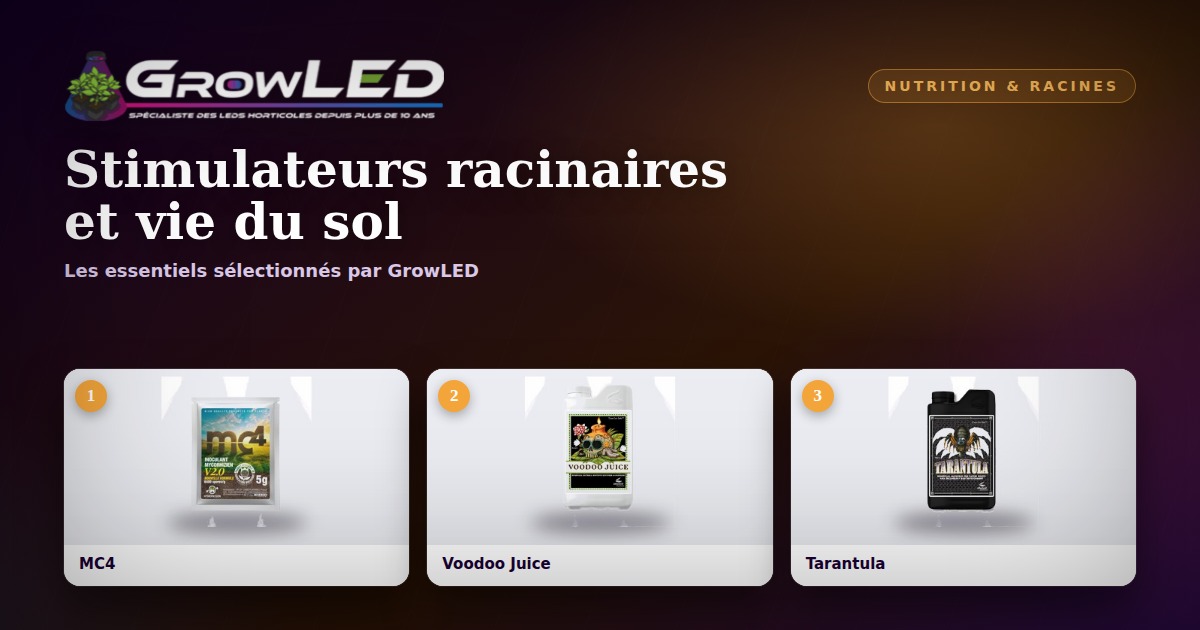 Stimulateurs racinaires et vie du sol : mycorhizes et micro-organismes