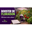 Booster de floraison : utile ou non, et comment le choisir ?