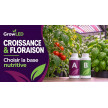 Engrais croissance et floraison : choisir la bonne base nutritive