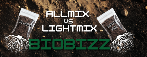 Quel terreau Biobizz choisir pour une culture, LightMix ou AllMix ?