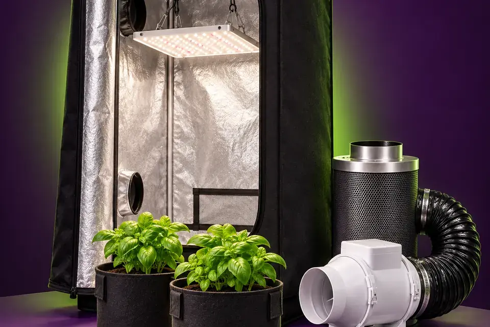 Chambre de culture équipée d'un éclairage LED et d'une extraction
